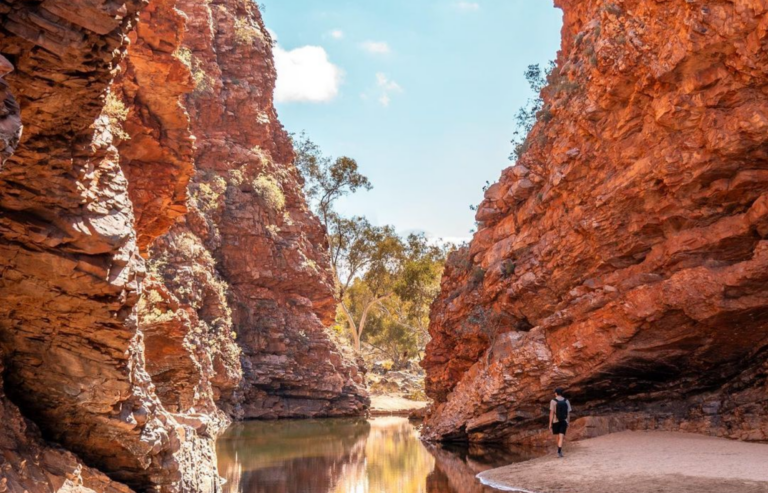 Larapinta Trail with Kids – A Family Adventure Guide