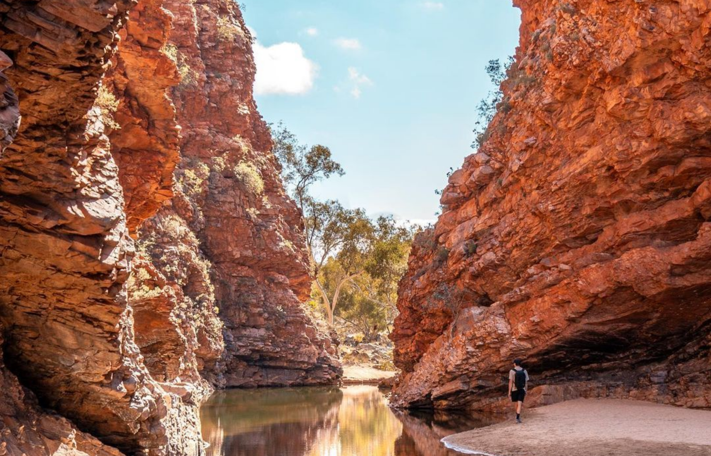 Larapinta Trail with Kids – A Family Adventure Guide