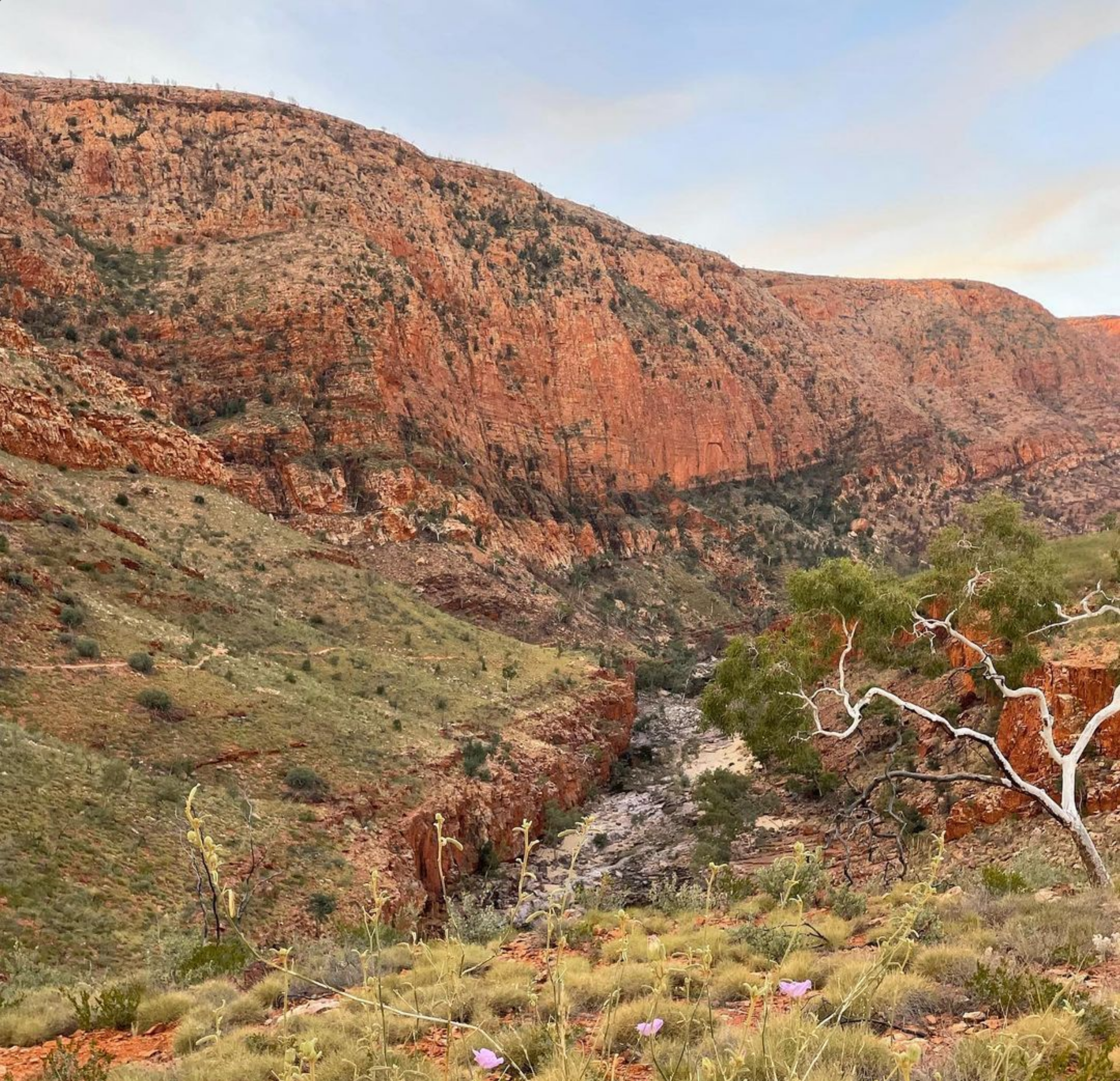 guide pack, Larapinta Trail