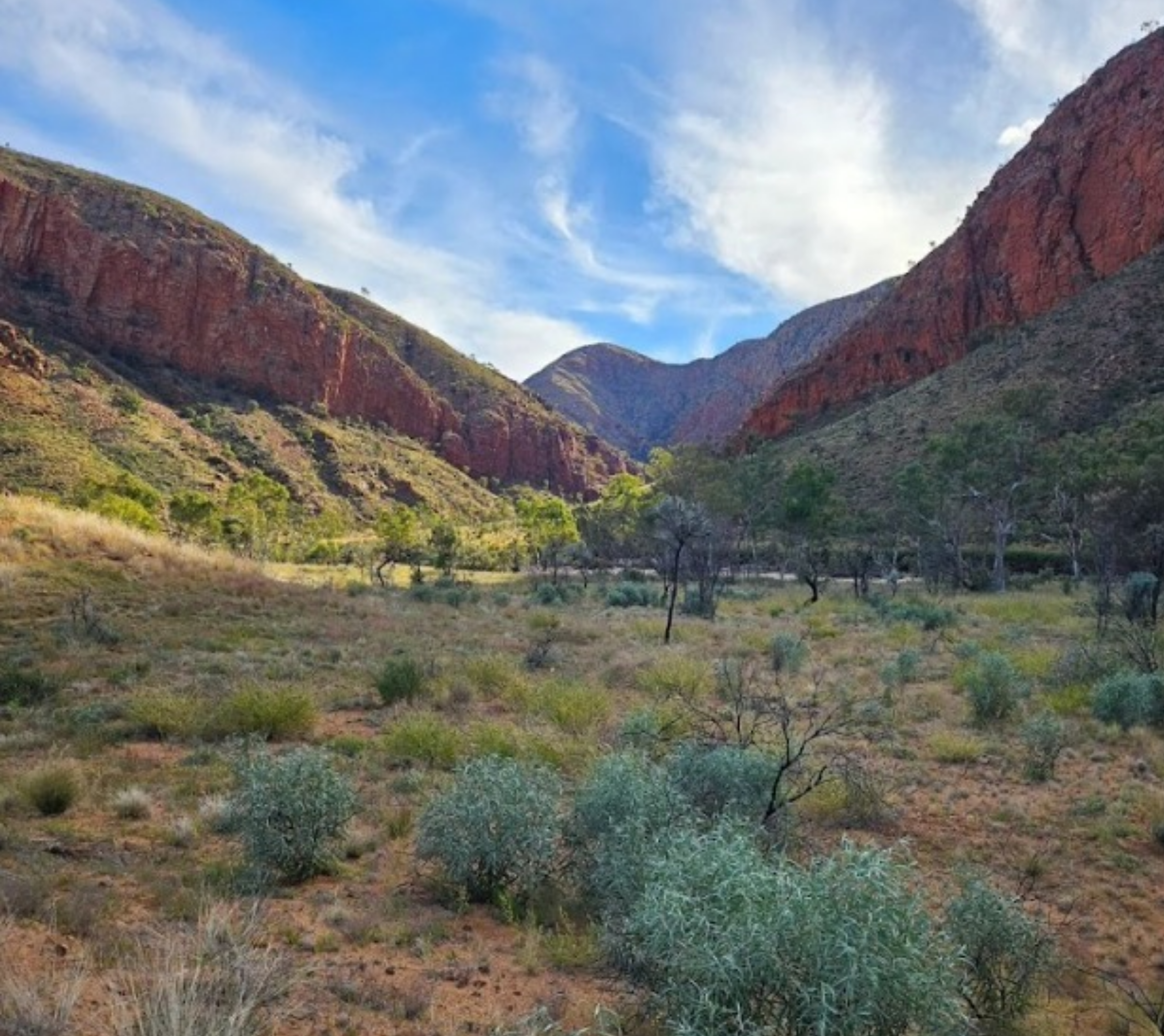 mountain views, Larapinta Trail