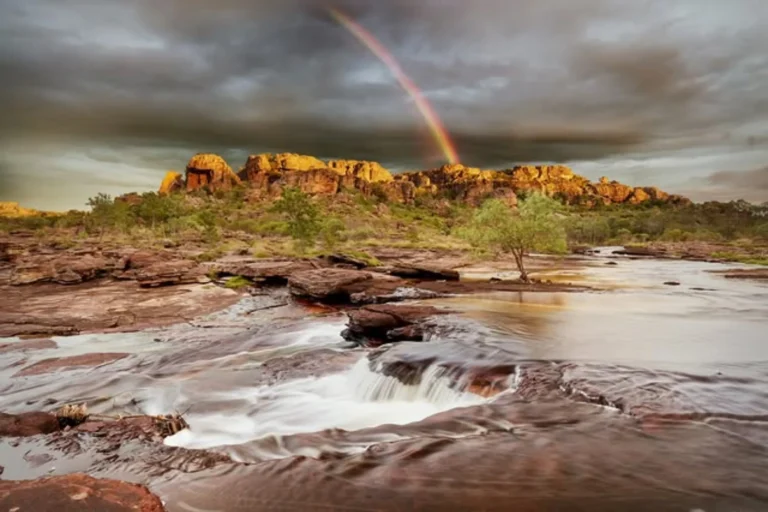 Kakadu National Park Threats