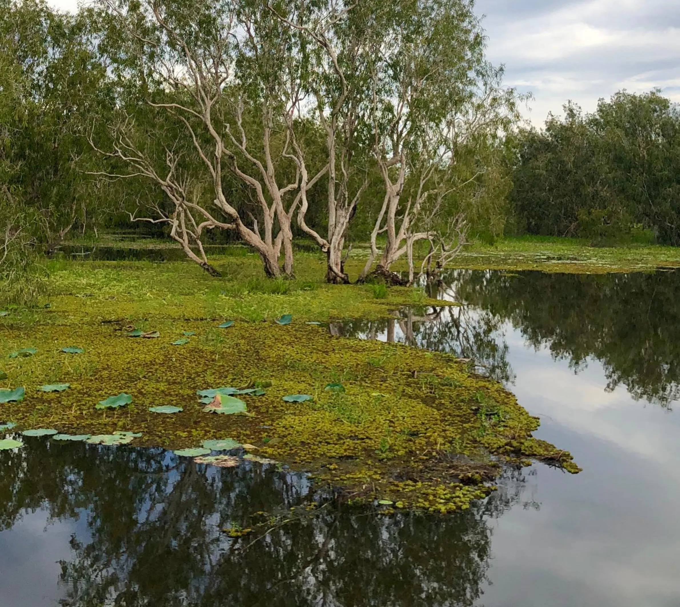 reshaping ecosystems